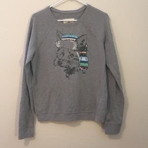 Like New Hollister Fox Sweater